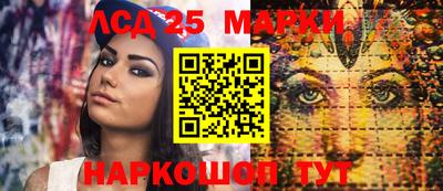 гидра Новодвинск