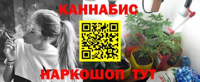 мдпв Нальчик