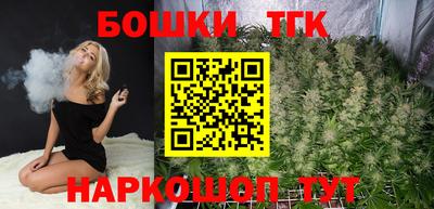 гидра Новодвинск