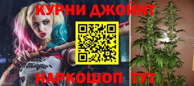 мдпв Нальчик