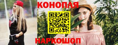 гидра Новодвинск