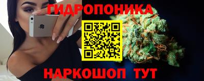 мдпв Нальчик