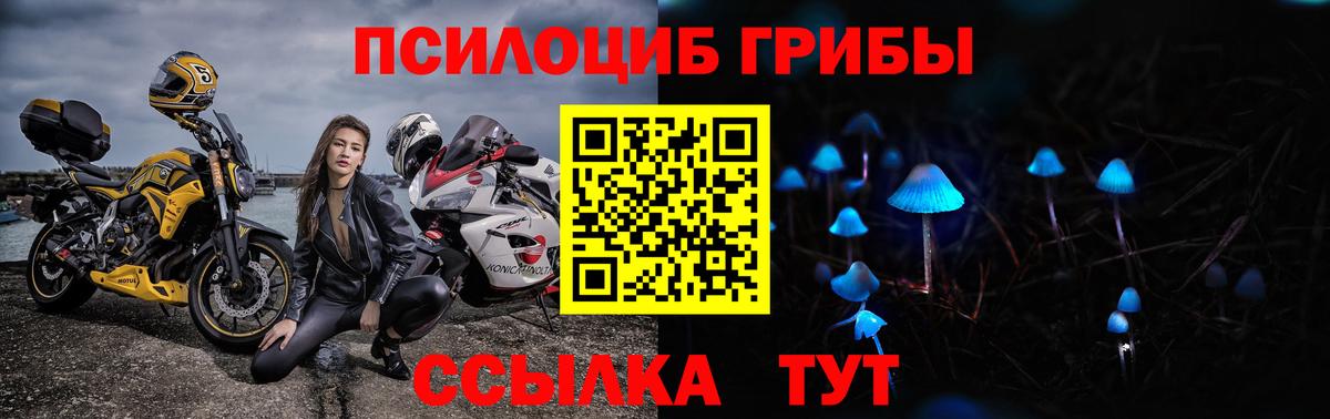 Псилоцибиновые грибы мухоморы  Галлюциногенные грибы Psilocybe  Рассказово  Вход с VPN 